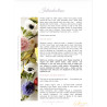 Wafer Paper Flowers – Next Level | Revised Digital Edition