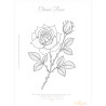 Wafer Paper Flowers – Next Level | Revised Digital Edition